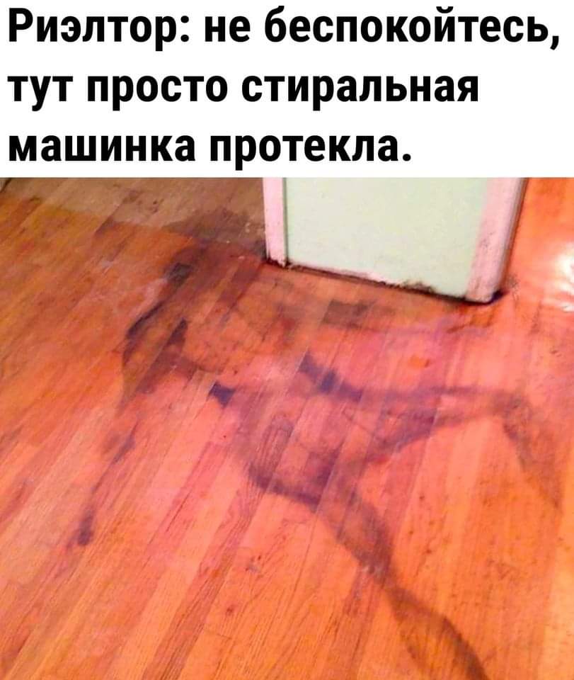 FB_IMG_1703009792339.jpg