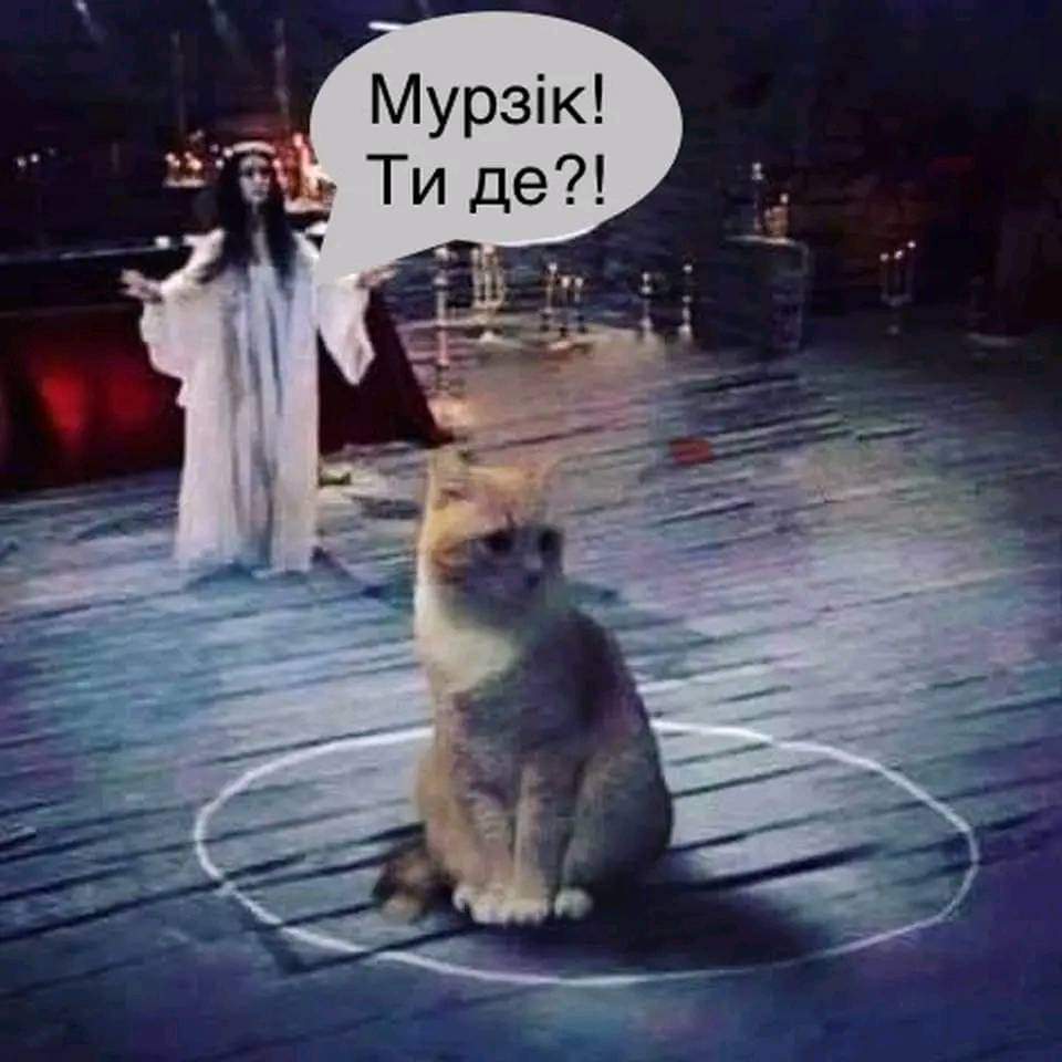 FB_IMG_1703176177535.jpg