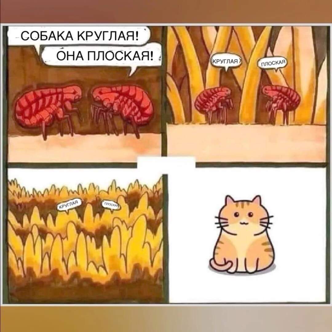 FB_IMG_1703350396590.jpg