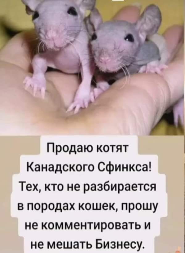 FB_IMG_1703485985002.jpg