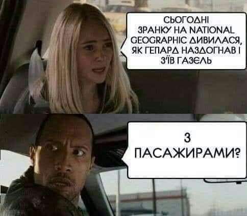 FB_IMG_1705338595879.jpg