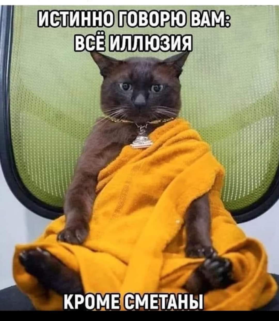 FB_IMG_1705502964835.jpg