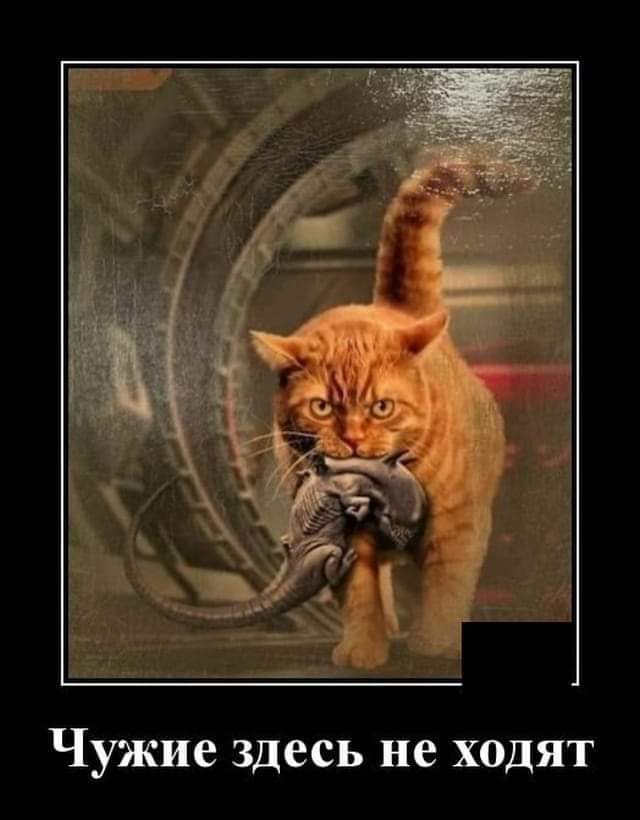 FB_IMG_1705989981774.jpg