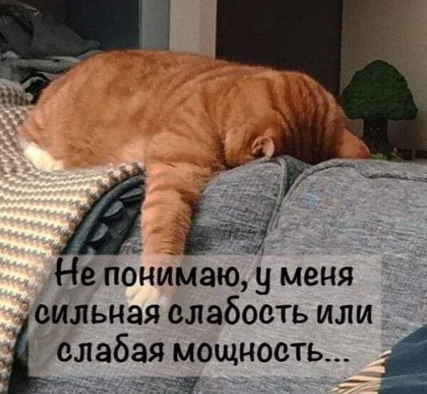 FB_IMG_1716540687549.jpg