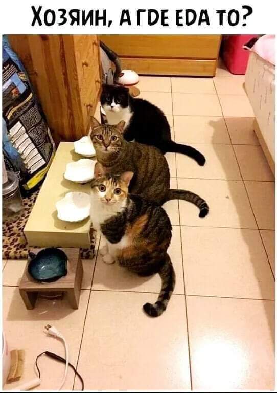 FB_IMG_1716800926111.jpg
