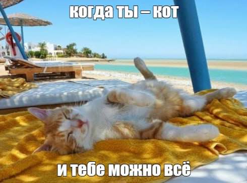 FB_IMG_1716892544848.jpg