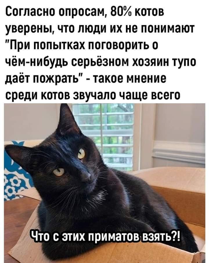 FB_IMG_1716897711180.jpg