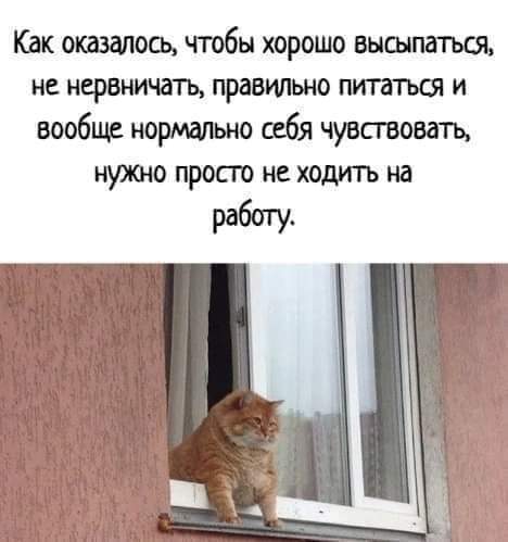 FB_IMG_1717150916231.jpg