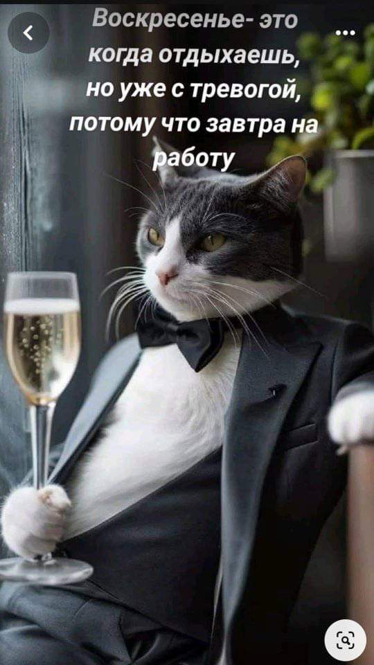 FB_IMG_1717357828959.jpg