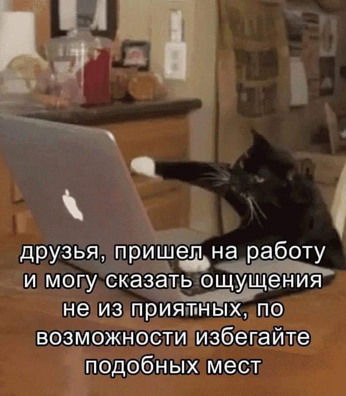 FB_IMG_1718594555773.jpg