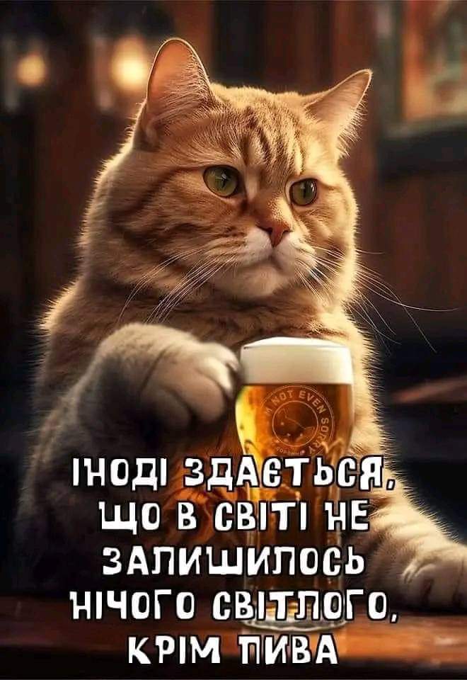 FB_IMG_1726249319463.jpg