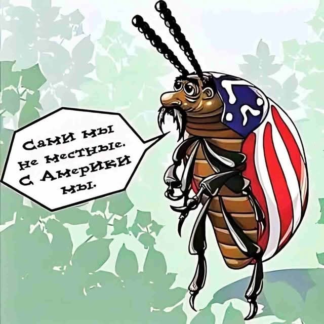 FB_IMG_1749327957423.jpg