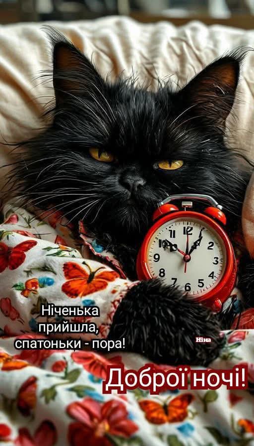 FB_IMG_1749405880336.jpg