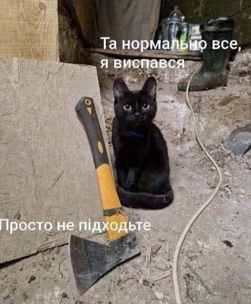 FB_IMG_1749491348304.jpg
