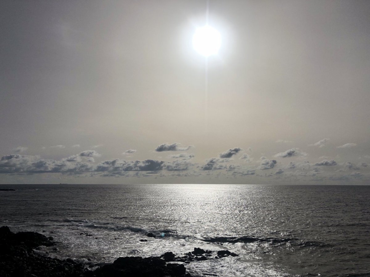 FC6E667E-BA62-4A17-8D38-135C637D0150.jpeg