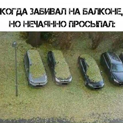 FCC3B3B1-8CAC-4BB7-B232-6C1259666F9E.jpeg