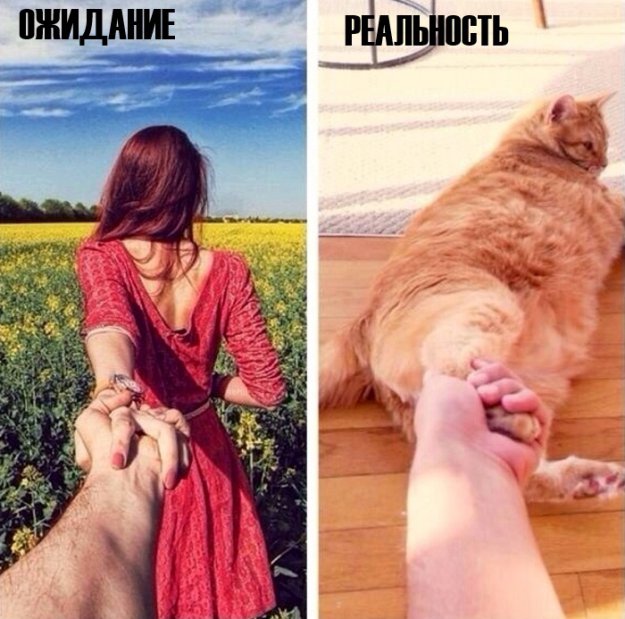 FE7EC500-822C-49C7-813F-A17EA7C140FE.jpeg