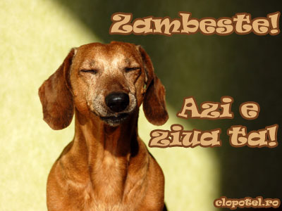 felicitare1217b.jpg
