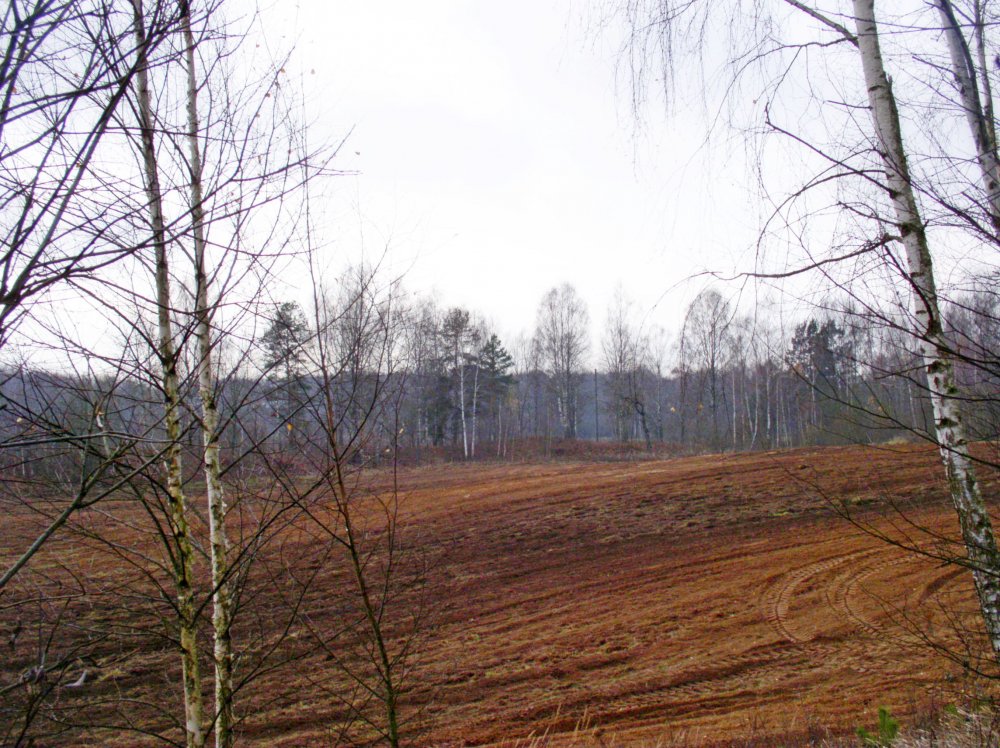 Festung K. 033.jpg