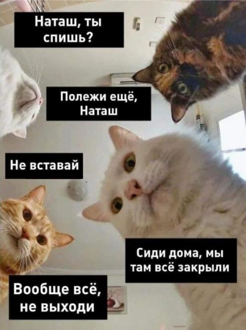 ffd5898a26a585589eef4f78d6e895cc0fa28d8b_960_1285_c.jpg