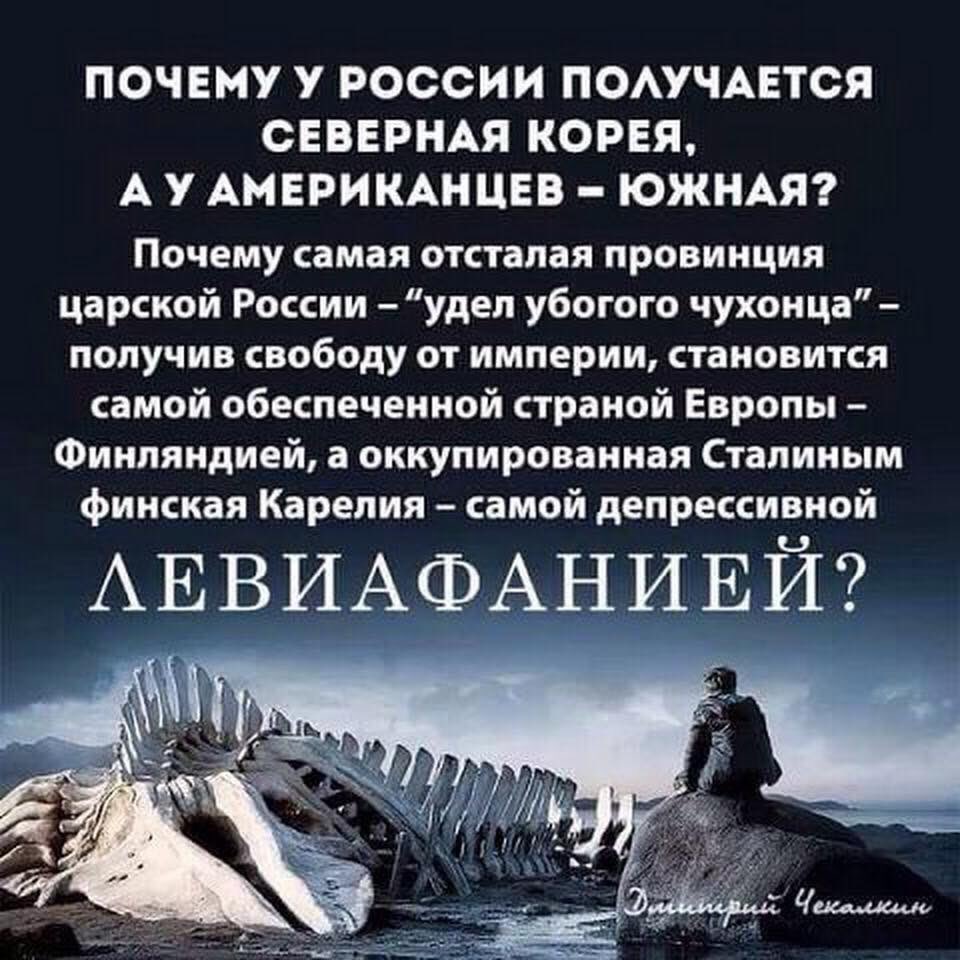 фин.jpg