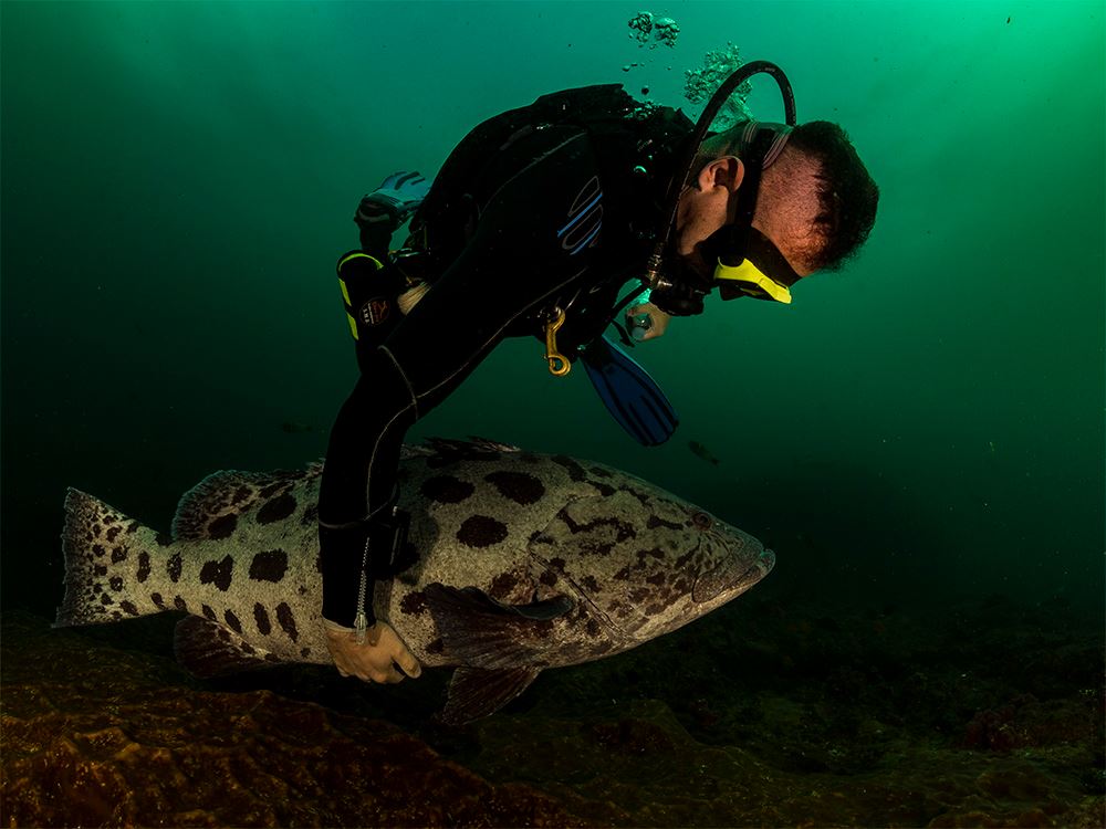 fish4.jpg