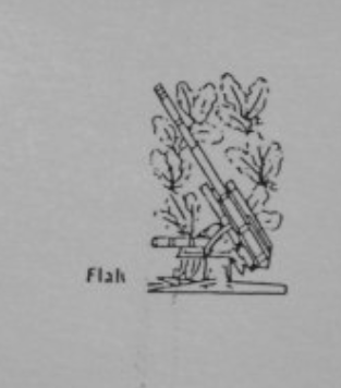 flak.png