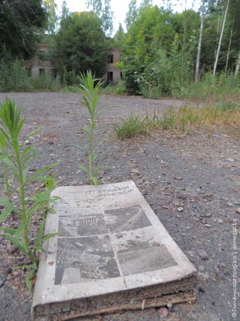 FOTO-5.jpg