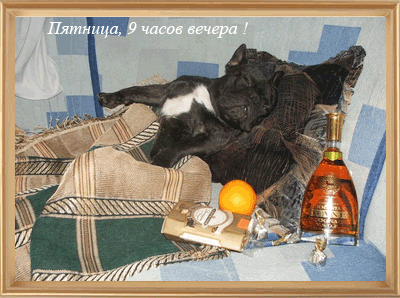 фр.gif