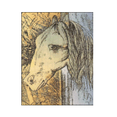 Frog2HorseColour.png