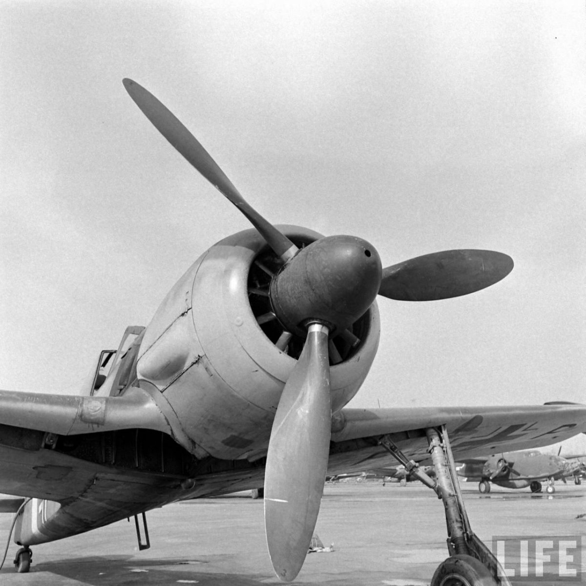 Fw 190 G-3, W.Nr. 160016-Y.jpg