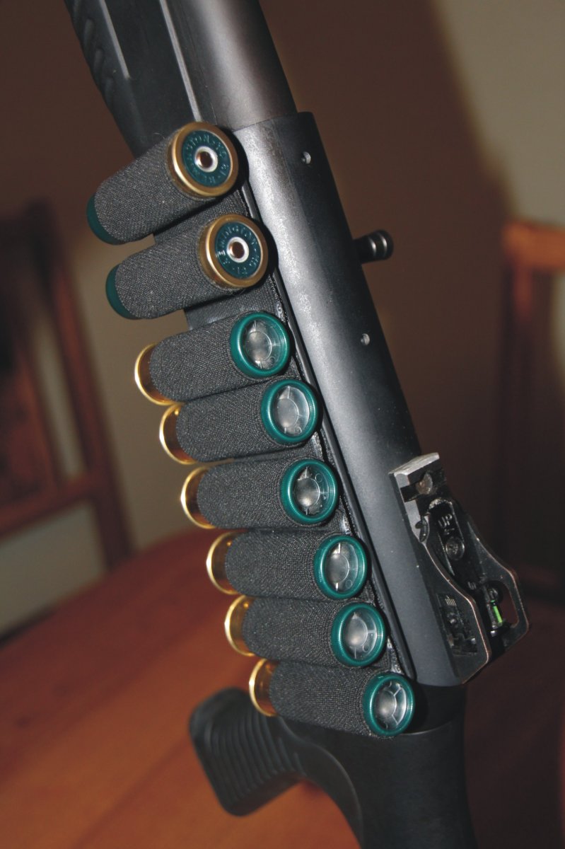G6.jpg