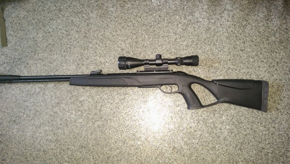 Gamo.jpg