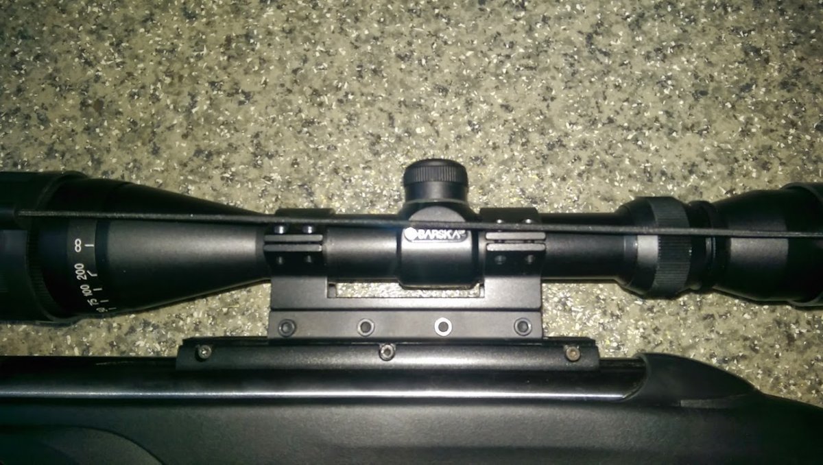 gamo1.jpg