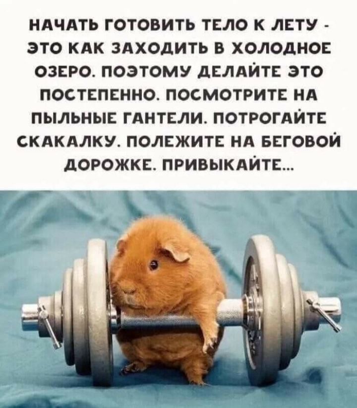 гант.jpg