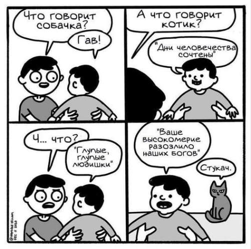 гав.png