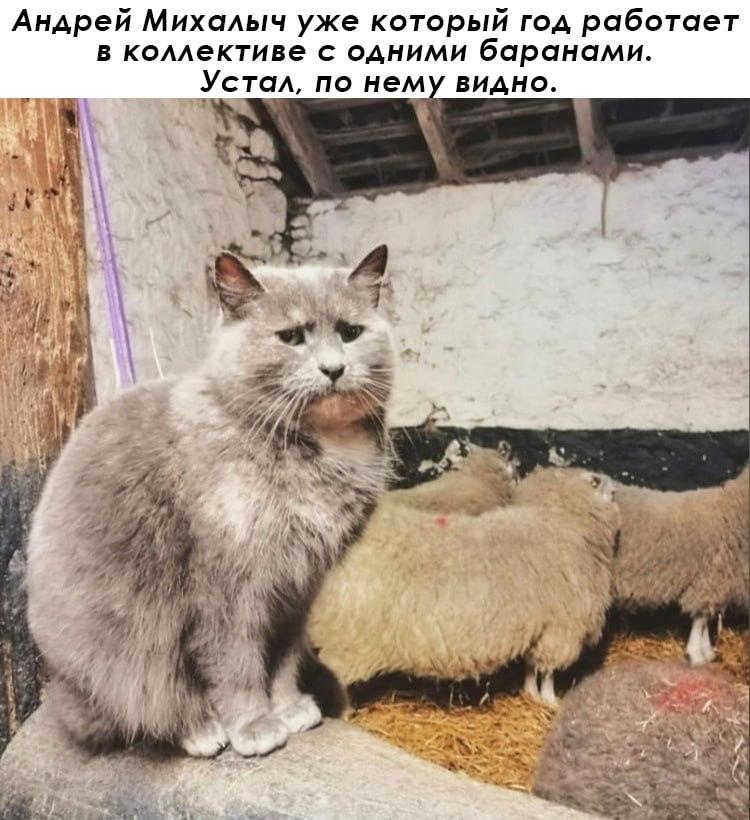 GeGEGMLWIAACAQZ.jpeg