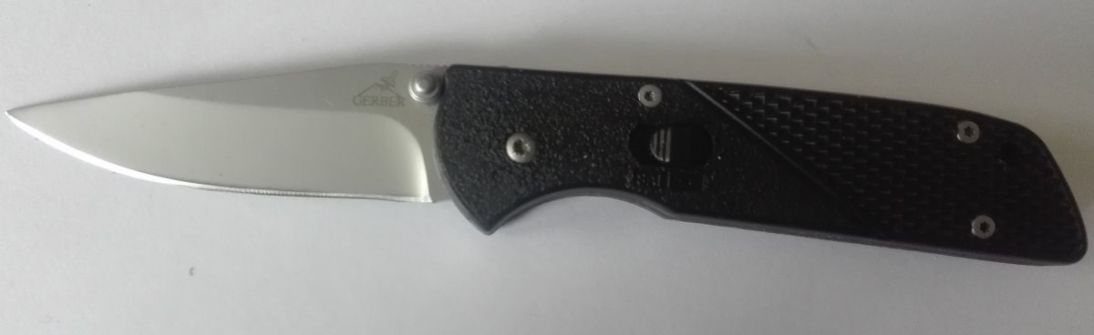 гербер 001.jpg
