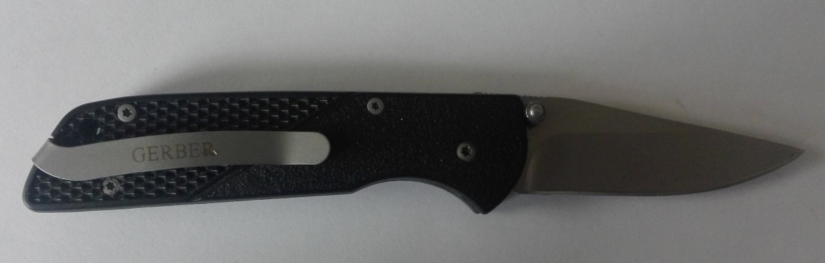 гербер 002.jpg