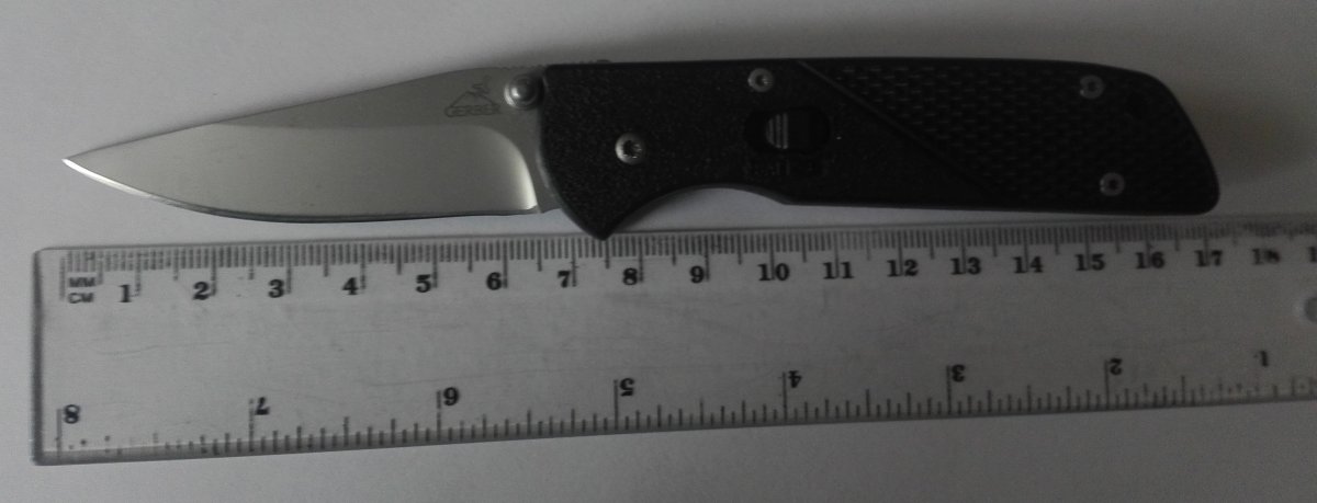 гербер 003.jpg