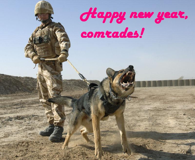 german-shepherds-as-pets-5-high-resolution-wallpaper.jpg