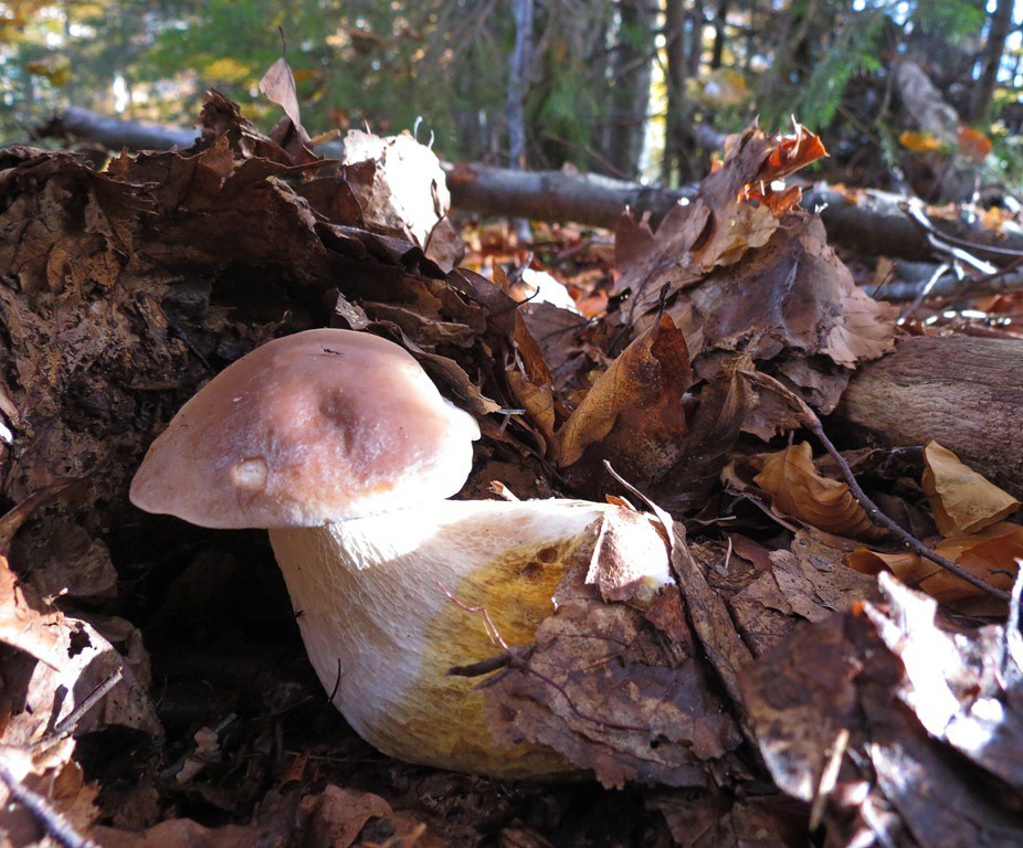 getImage (1).jpg
