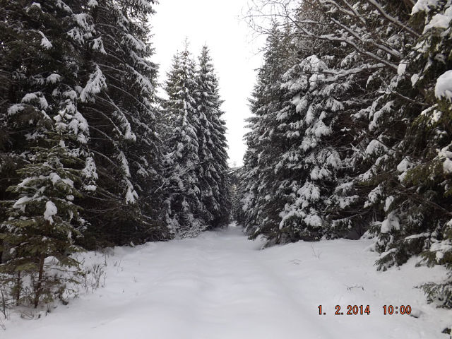getImage (1).jpg