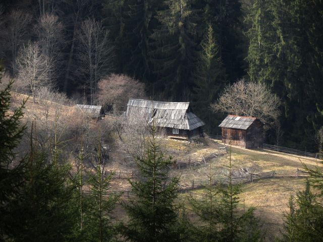 getImage (1).jpg