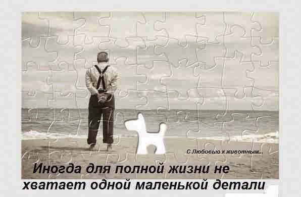 getImage (1).jpg