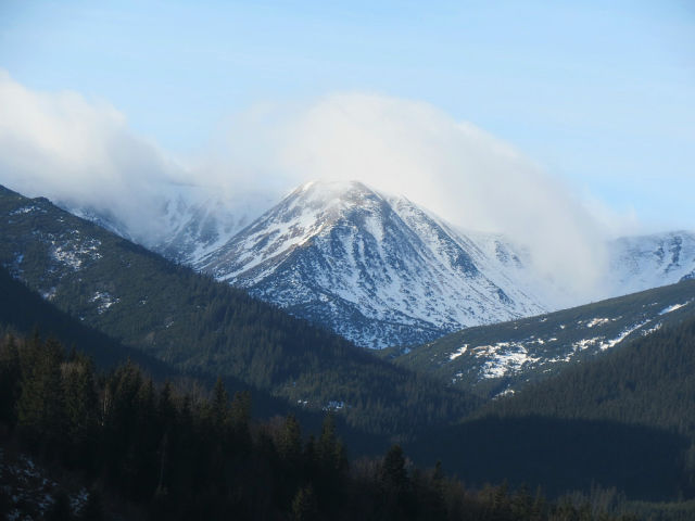getImage (10).jpg
