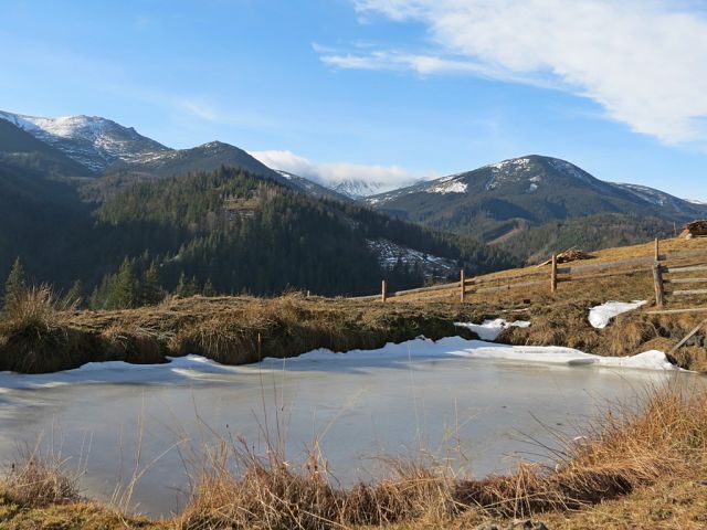 getImage (12).jpg