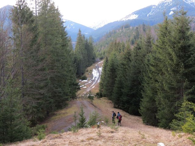 getImage (17).jpg