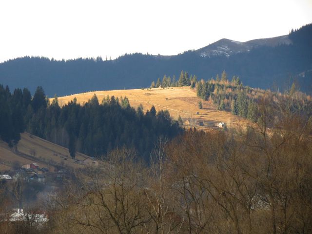 getImage (2).jpg