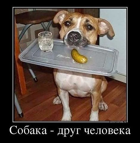getImage (2).jpg